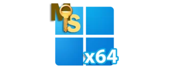 Windows 11 x64
